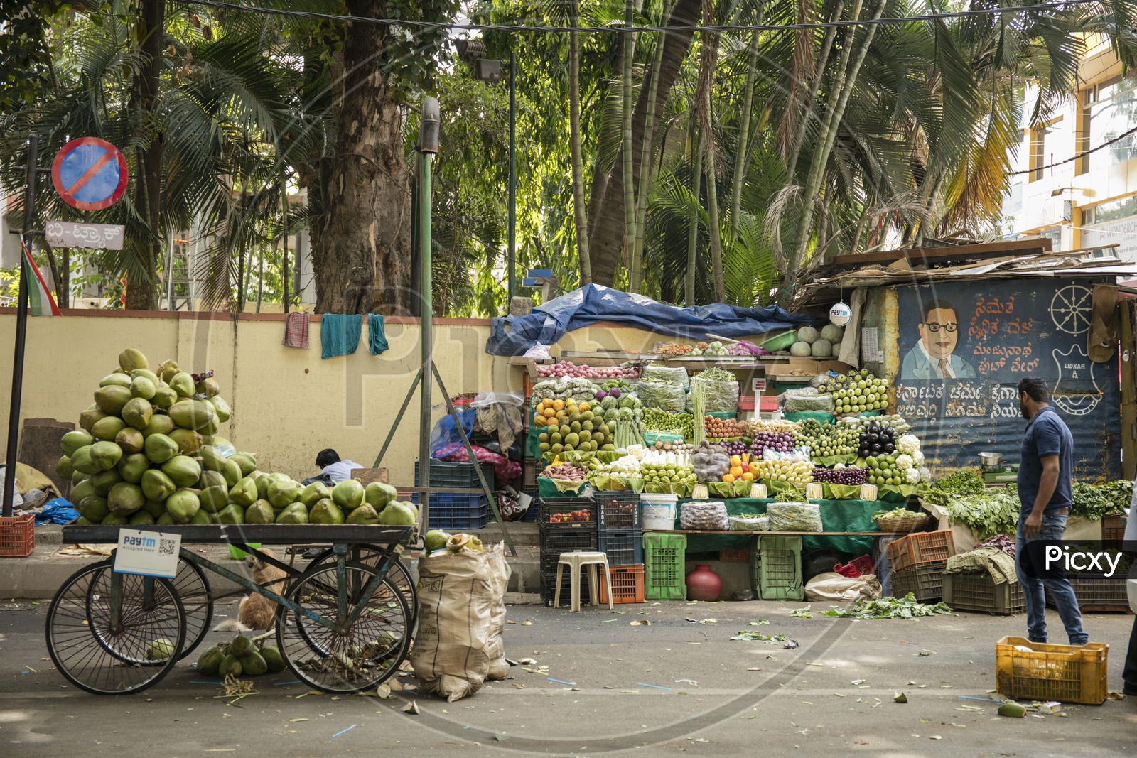 the veg shop, jayanagar market