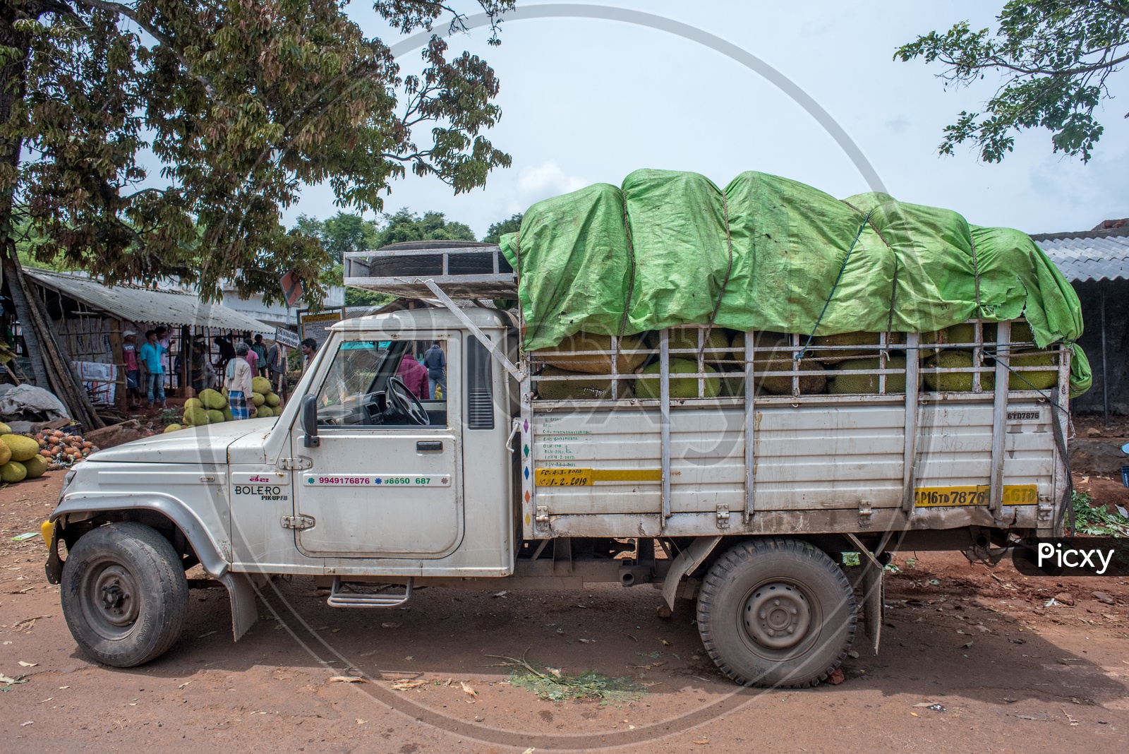 truck fully loaded with jackfruits in it