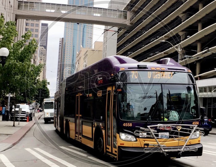 City Buses in Seattle