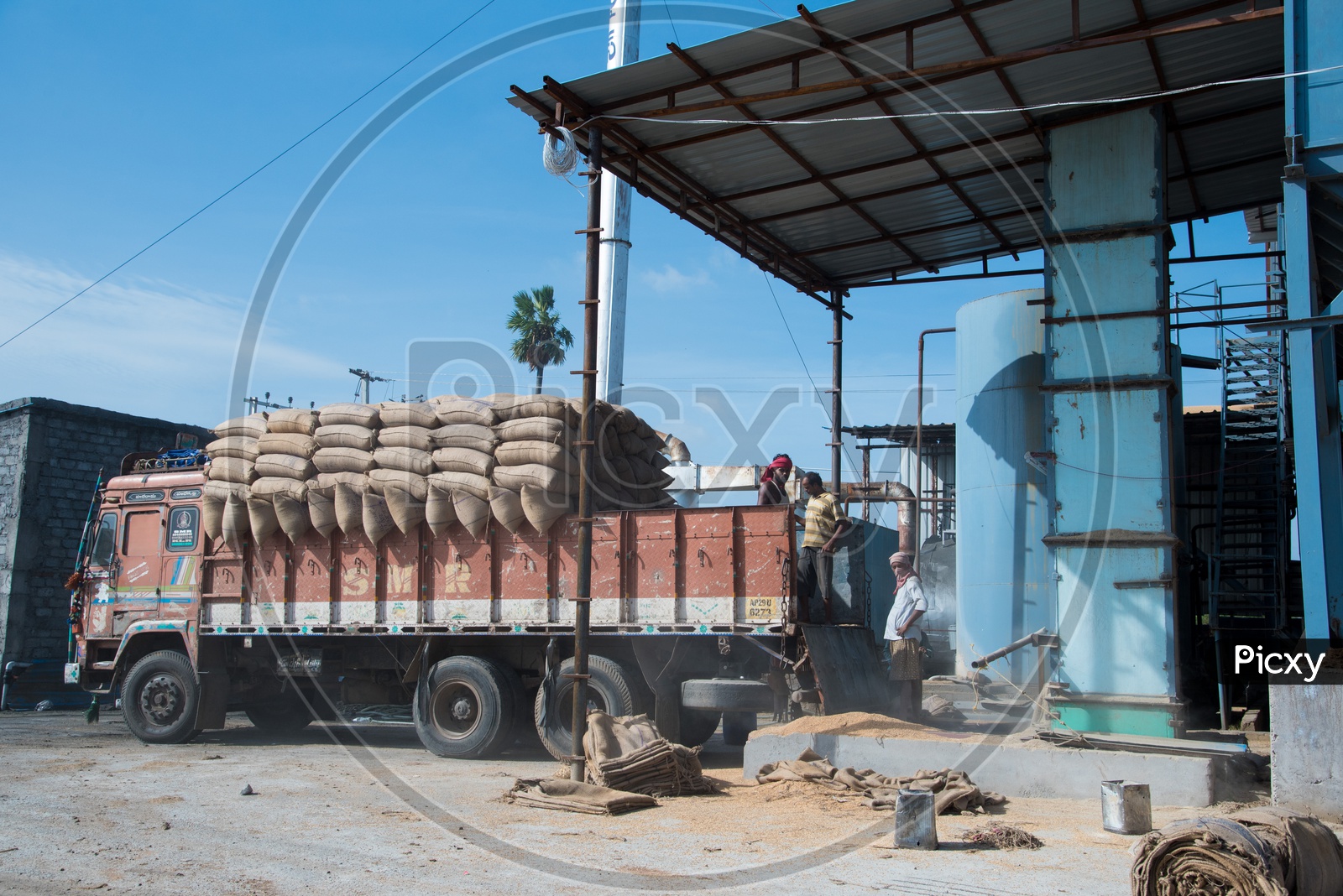 Loading bags of rice onto truck