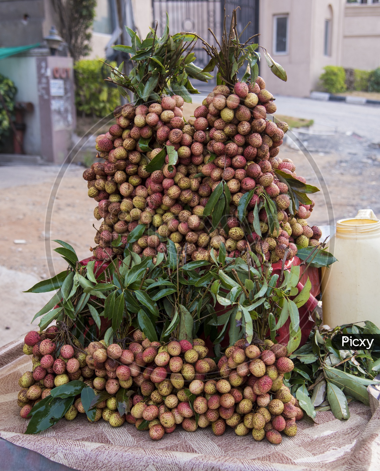 Litchi Fruit for sale in Hyderabad