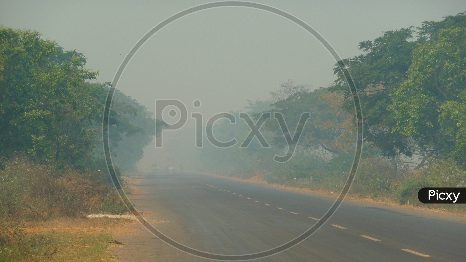 Road Covered with Fog