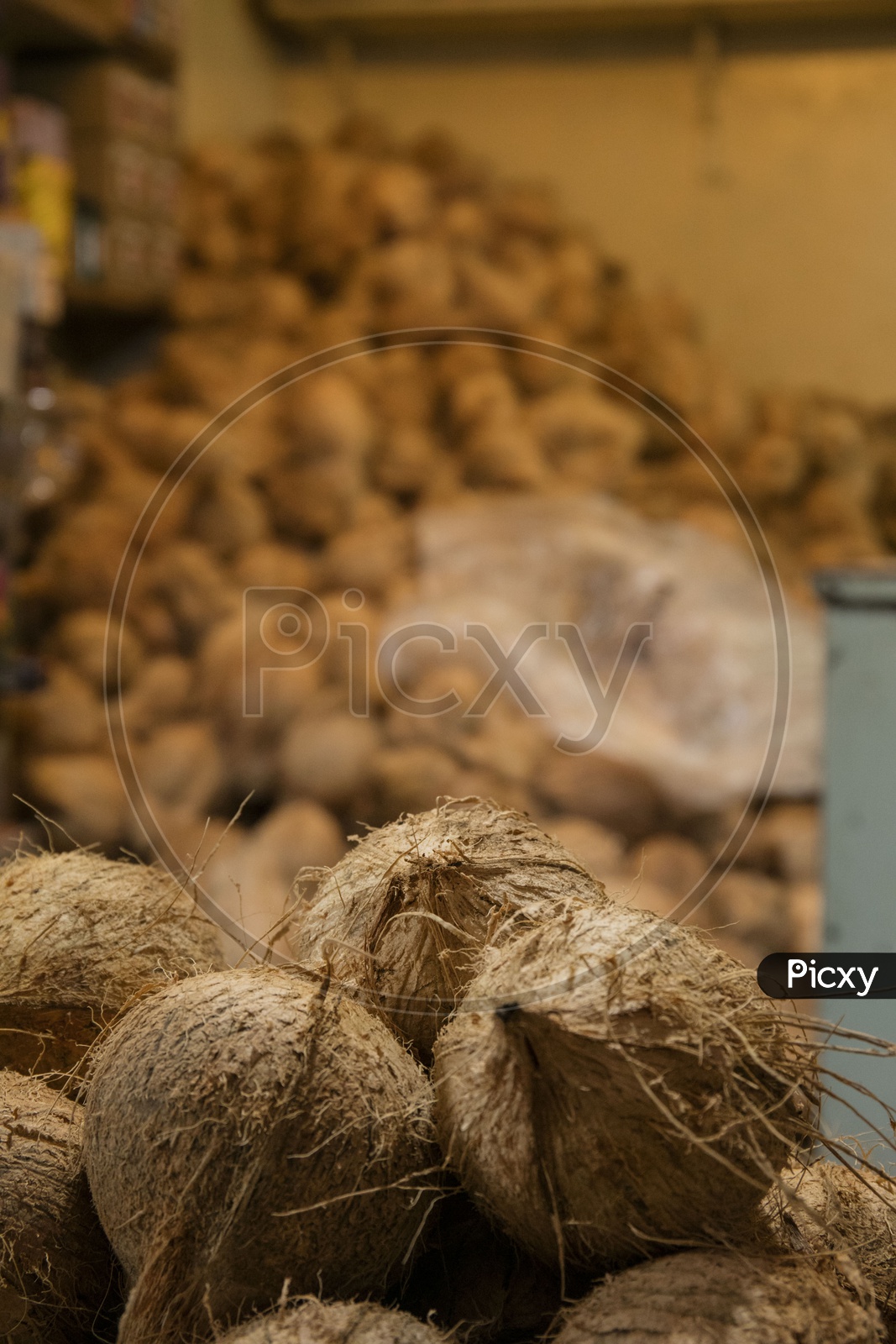 coconuts, jayanagar market