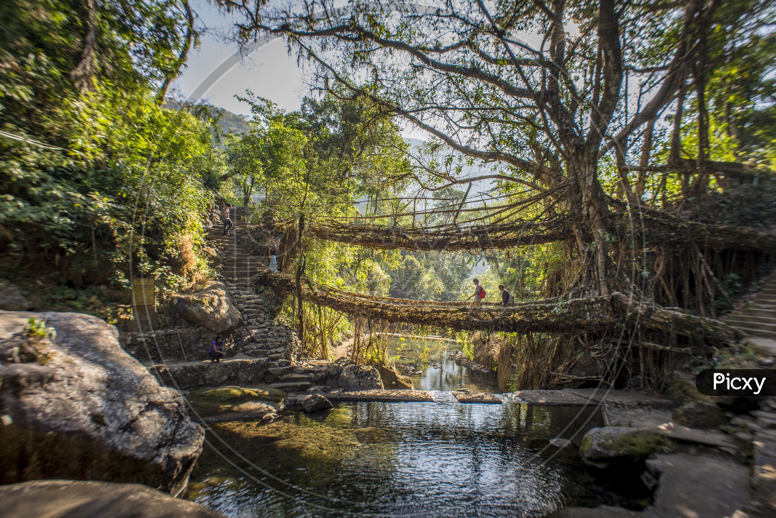 Double Decker living root bridge at Nongriat Village, Meghalaya