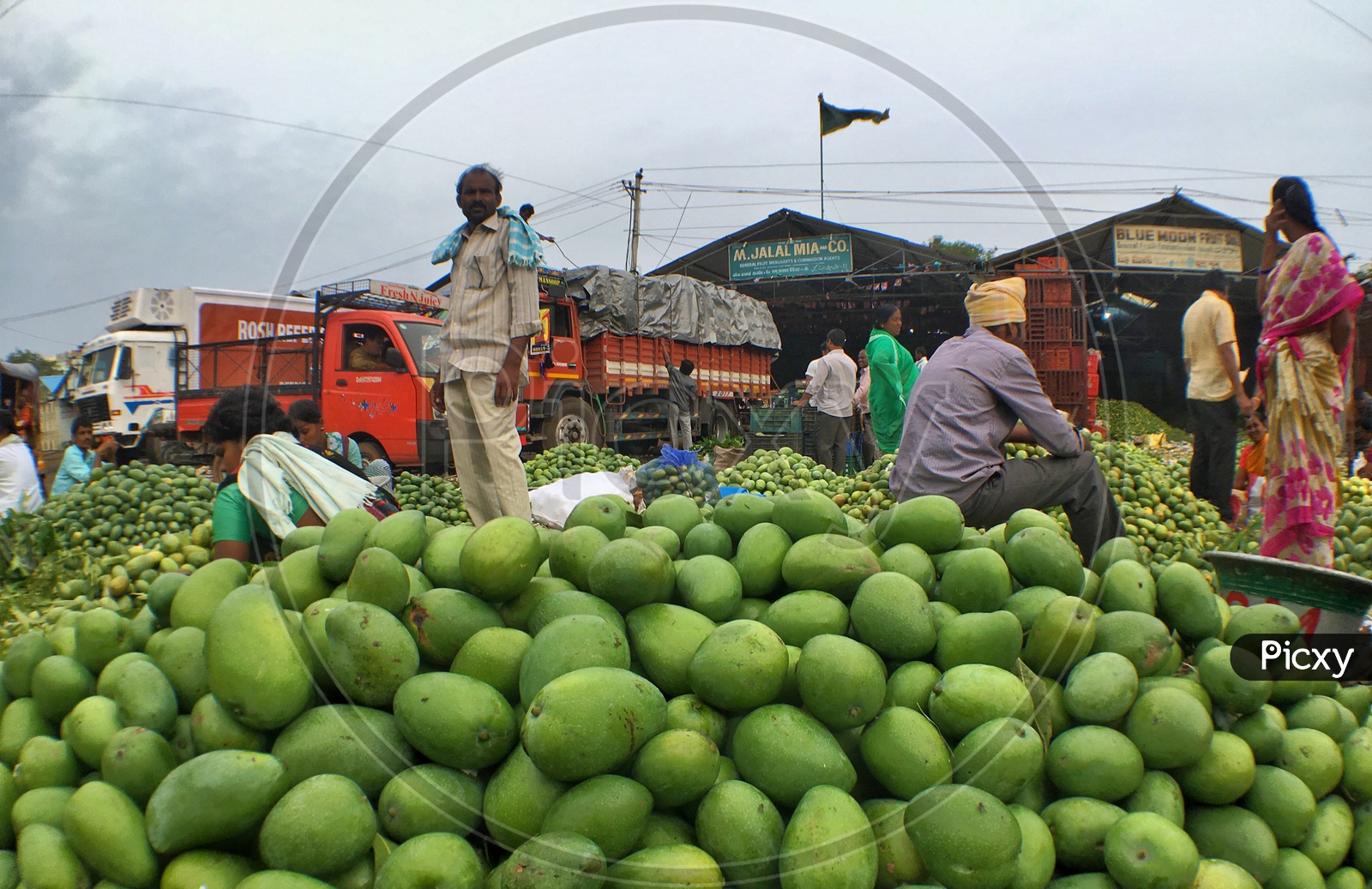 Fruit Seller/Fruit Market/Mango Market/Farmer's Market/Raithu Bazar/Rythu Bazar