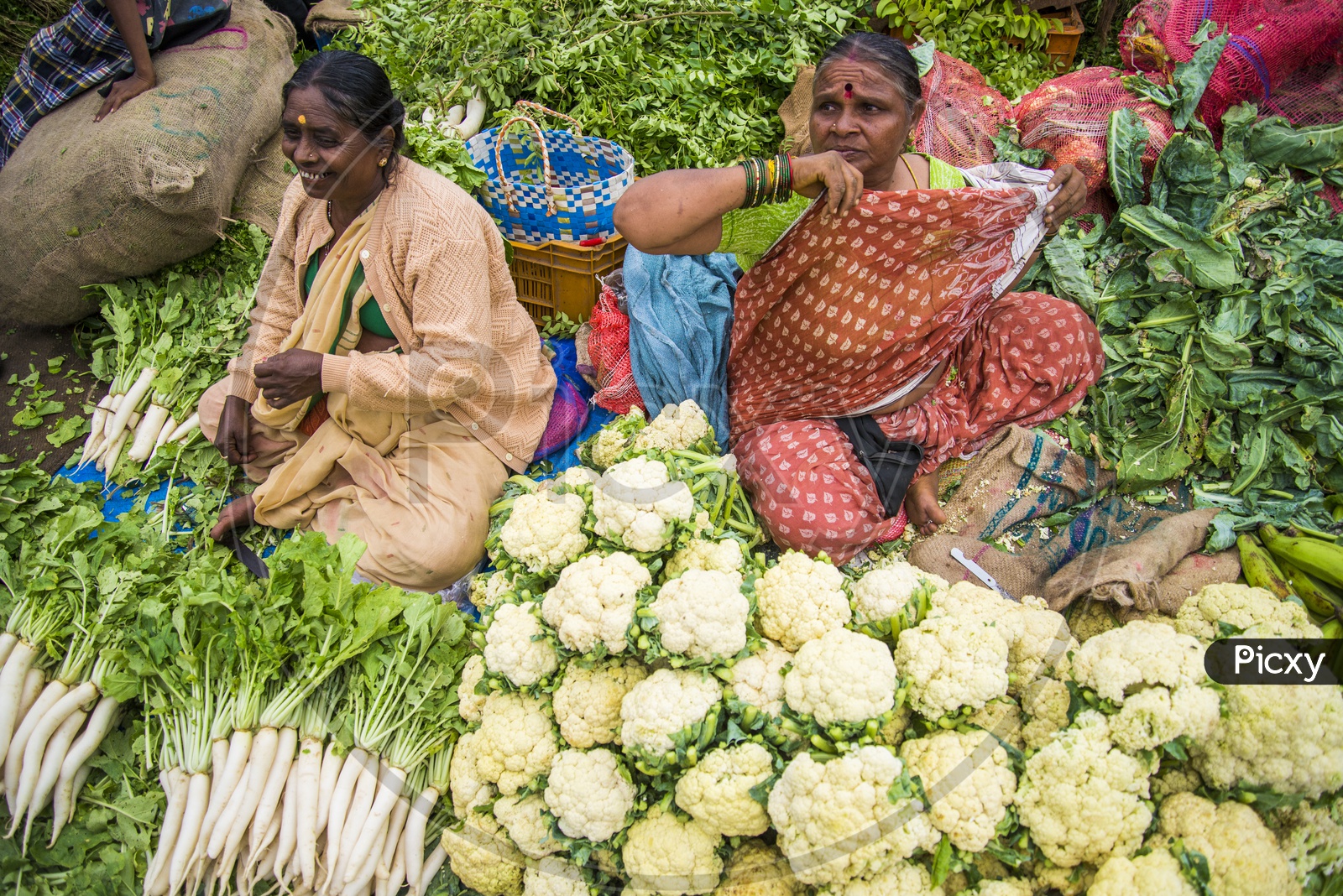 Female Vegetable Vendors at Gudimalkapur Flower Market