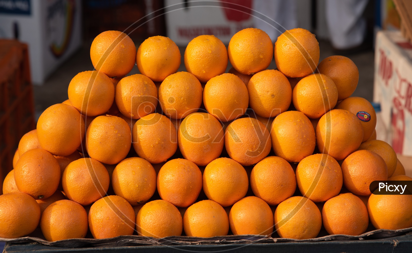 Malta Orange at Fruit Market
