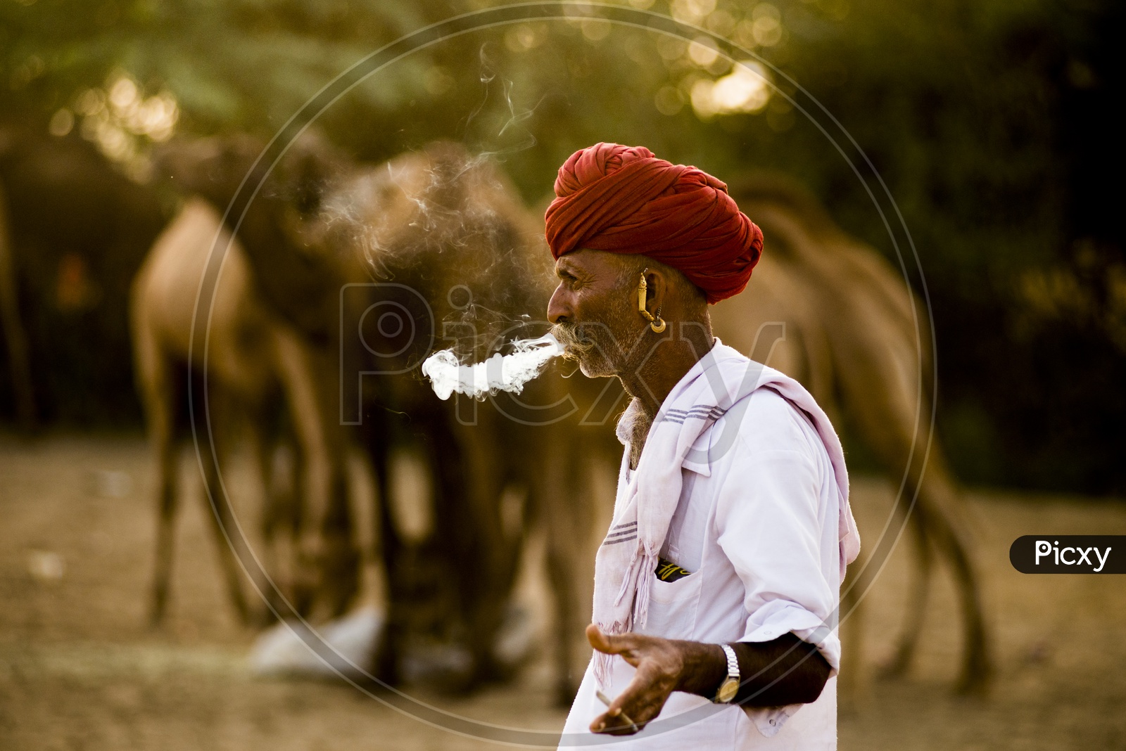 Rajasthani Old Man Smoking