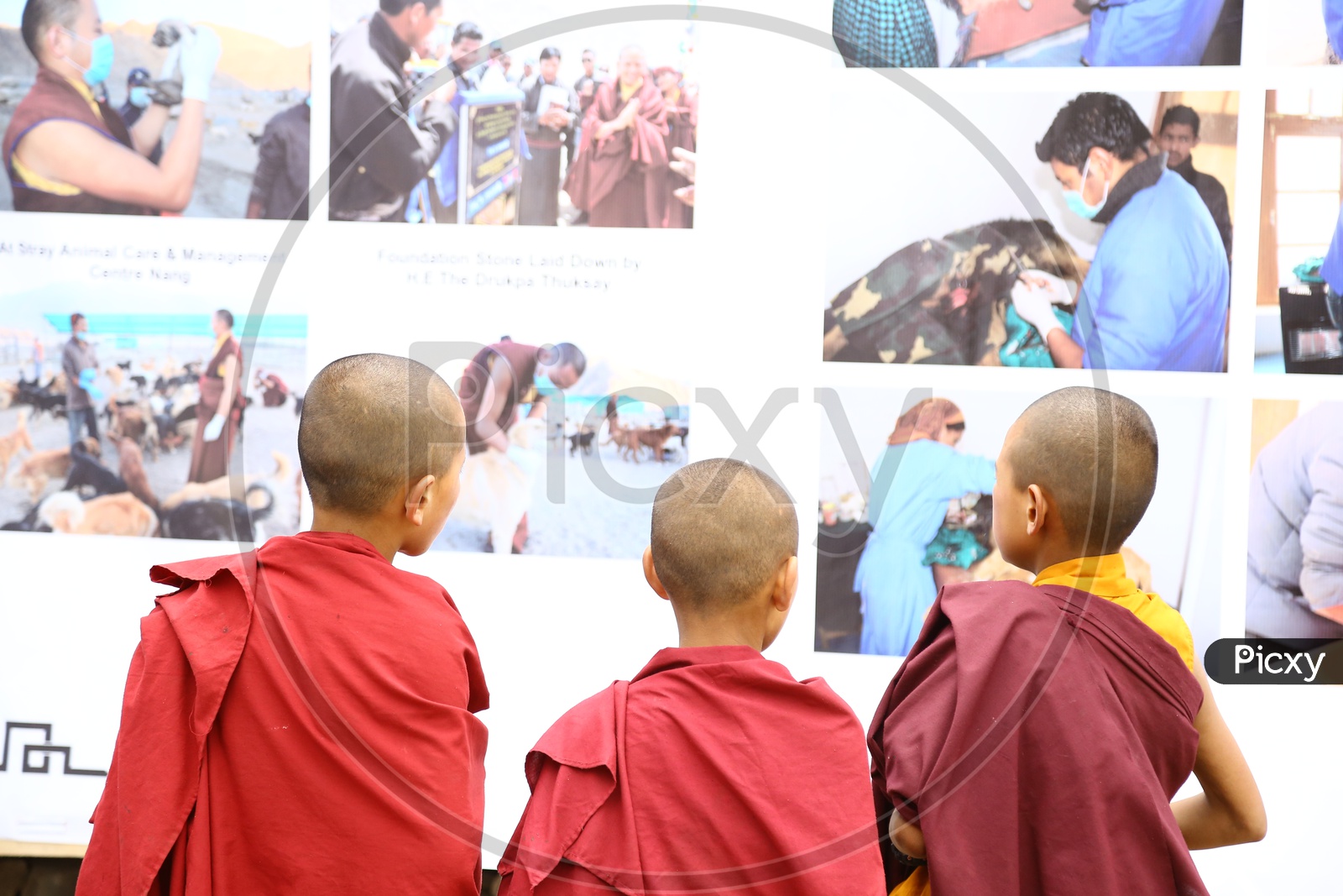 Child Buddhist Monks at Photo Gallery, Hemis Gompa Festival