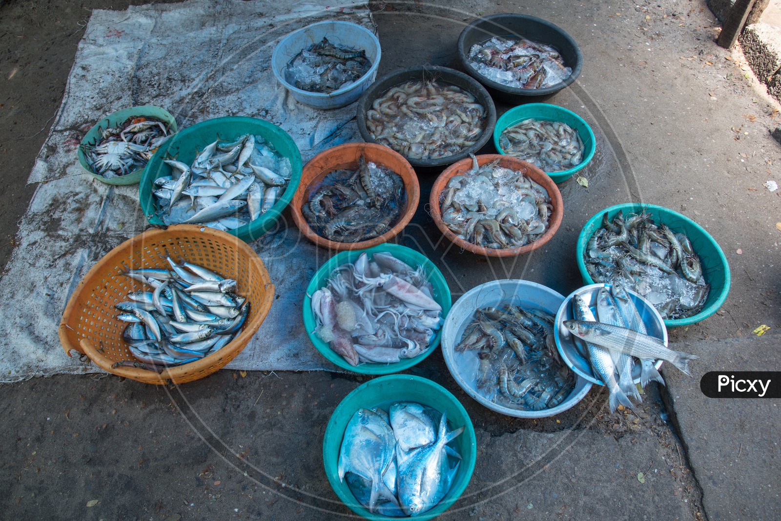 Sea Foods for sale at Fort Kochi Beach,Kerala.