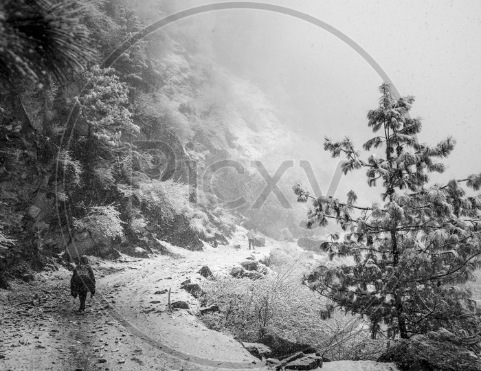 Trekking in Snow at Jana Village near Manali