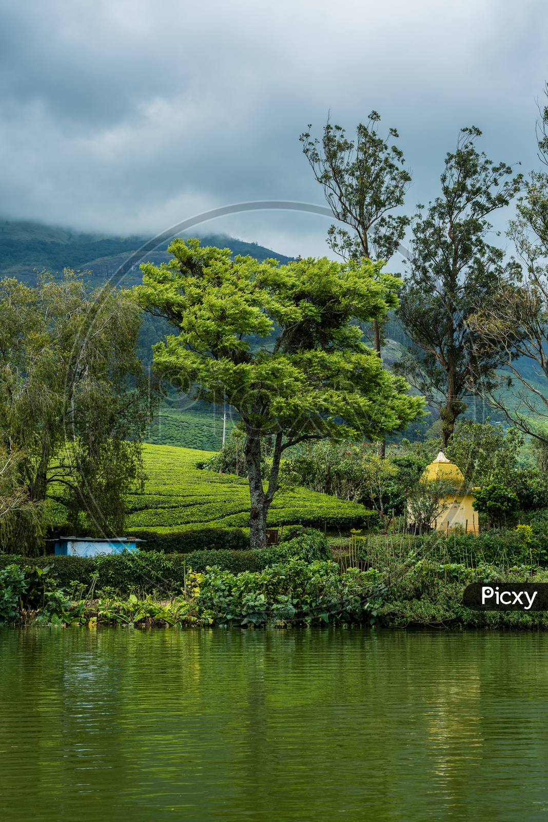 Get lost in lush greenery of Munnar