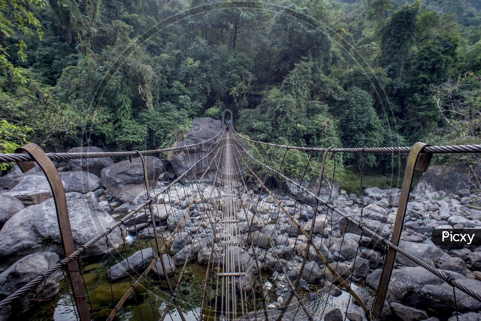 Double Decker living root bridge at Nongriat Village, Meghalaya