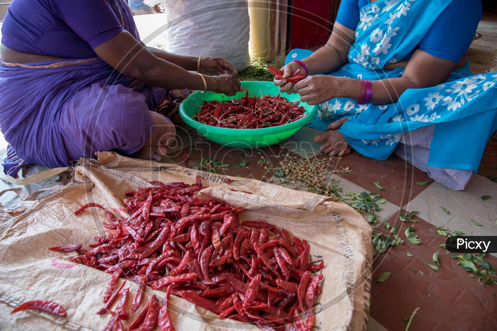Slicing Red Chillies