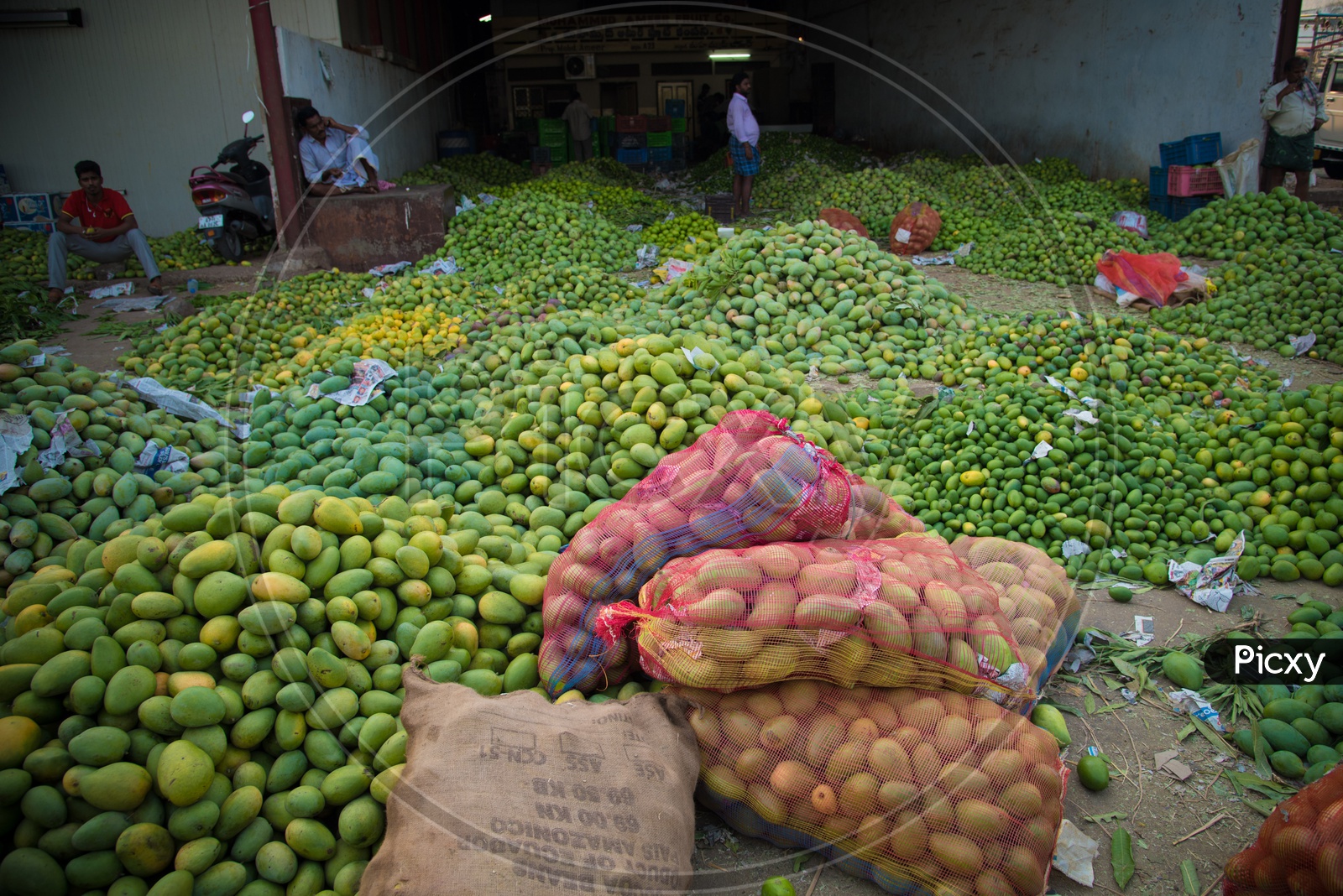 Packed mangoes