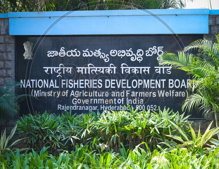 National Fisheries Development Board, Hyderabad