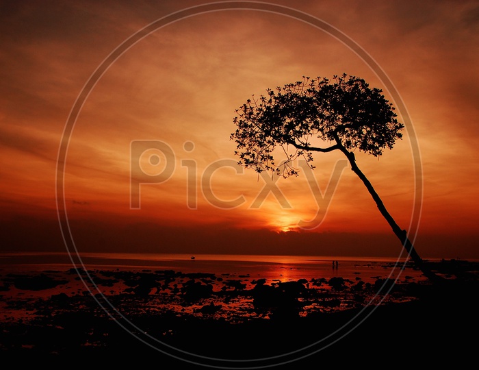 Sunset at Andaman and Nicobar Islands