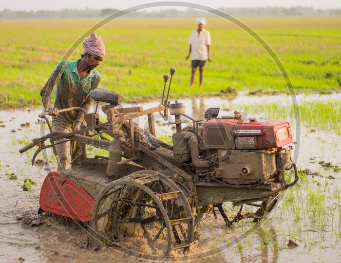 Indian farmer ploughs a wet field