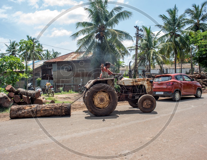 Tractor pulling coconut trunk