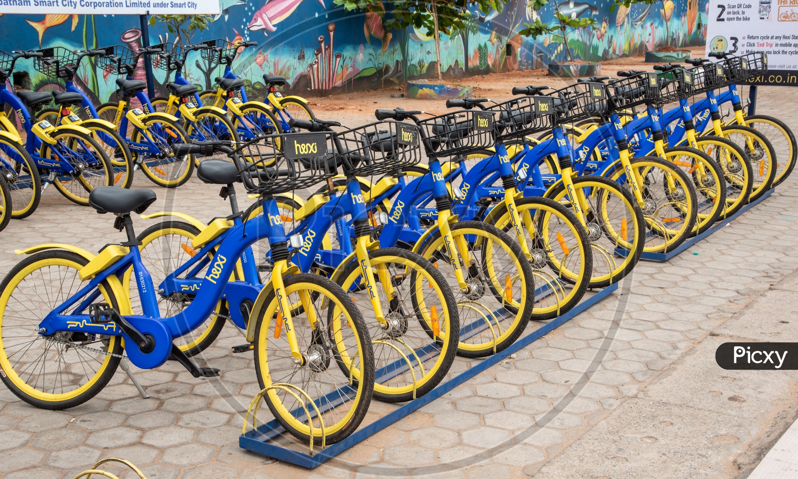 Share Bicycles of Hexa / Hero / Initiative of AP Government