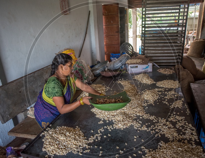 workers in cashew making factory