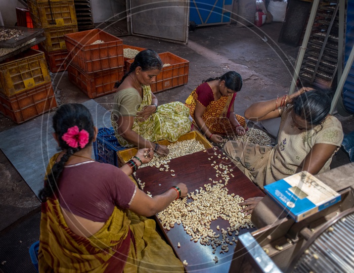 workers in  cashew making factory