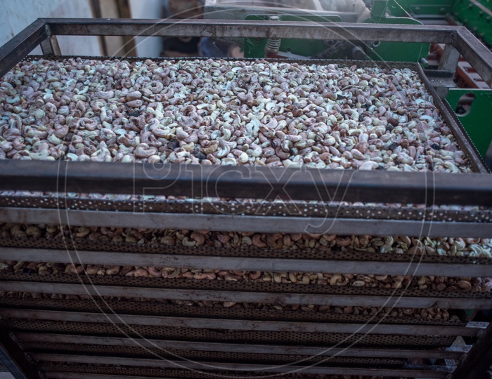 Cashew making factory