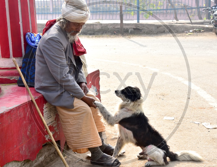 Sadhu Shakehand with Dog in Haridwar