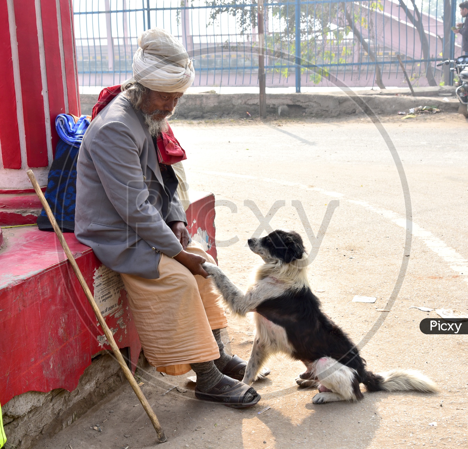 Sadhu Shakehand with Dog in Haridwar