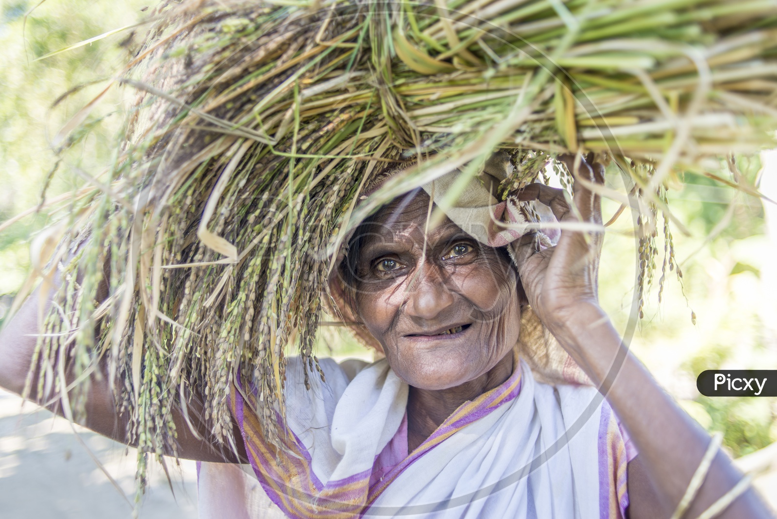 Women Farmer in Majuli, Assam