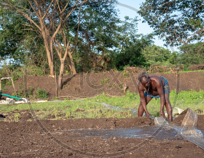 A farmer pumping water into his Paddy Field