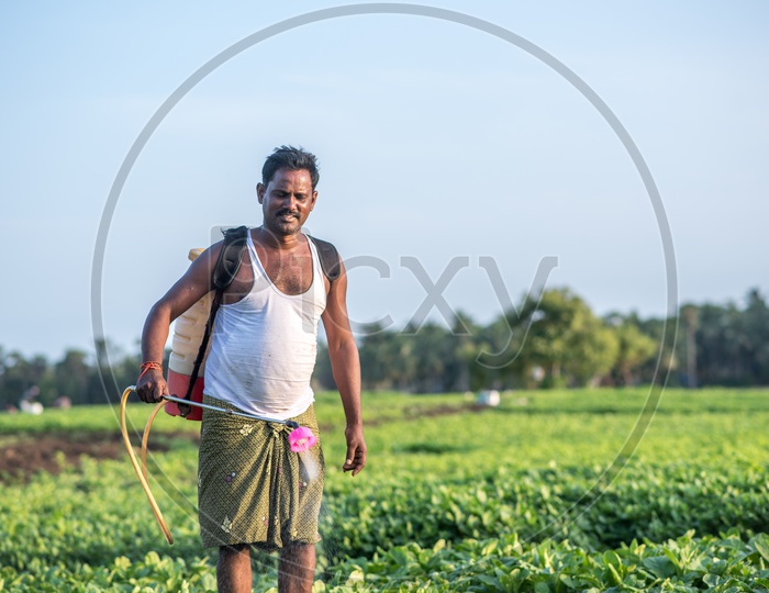 farmer putting pesticide