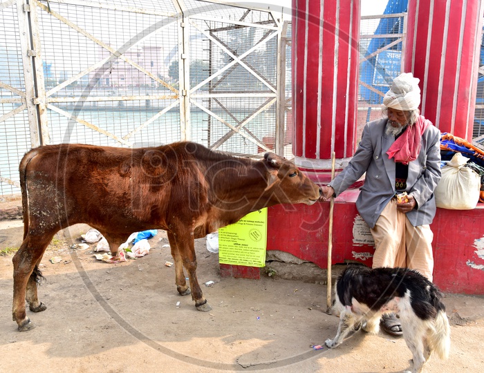 Sadhu Feeding animals