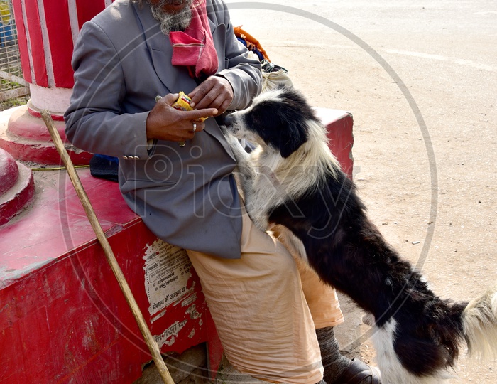Sadhu Feeding dog