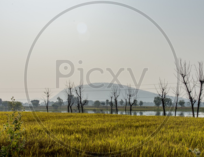 Agriculture Fields, Jakkepalli-Chan Palle