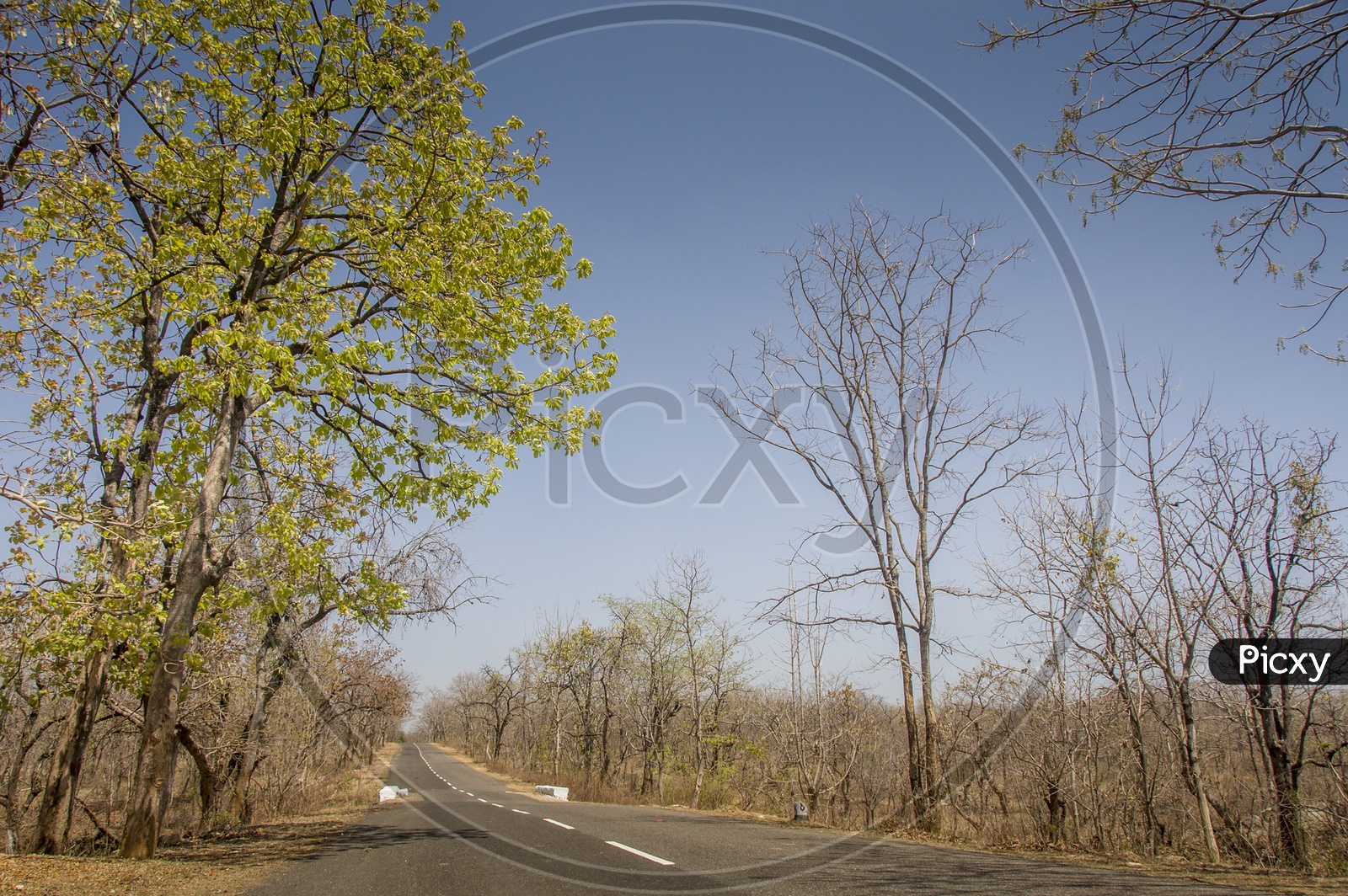 Main roads of Pocharam