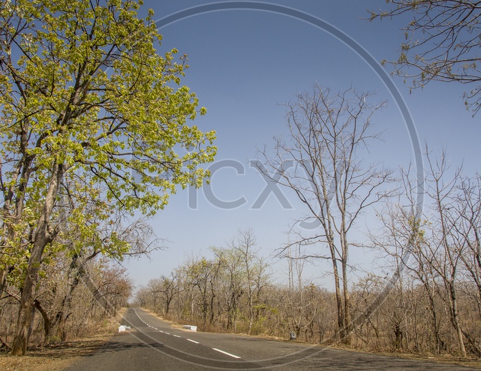 Main roads of Pocharam