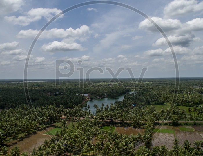 Paddy fields and coconut farms