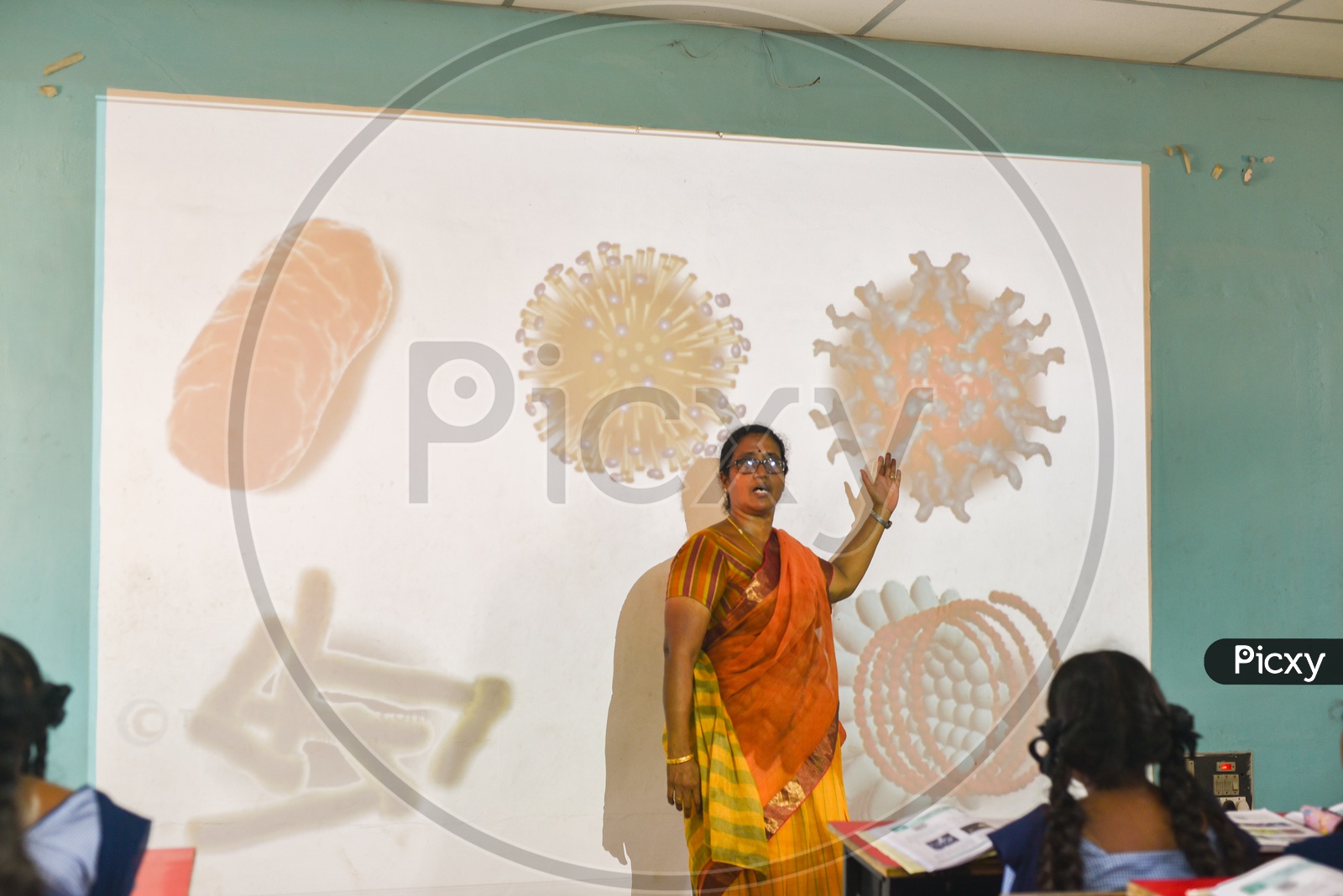 A teacher taking class on Virus and their effects in a digital classroom