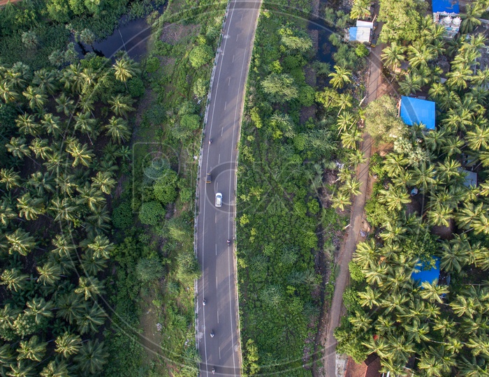 highway in between coconut groves
