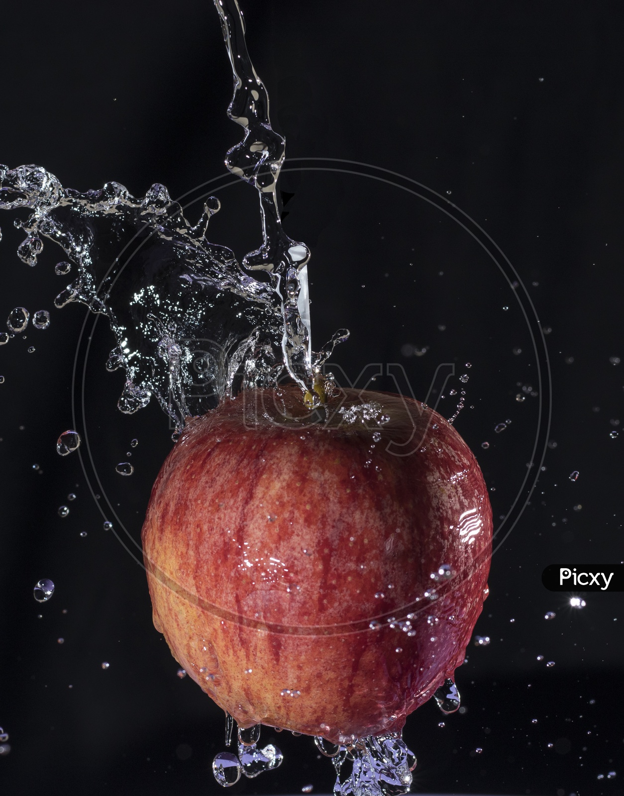 apple fruit. red apple fruit isolated.water splash on apple