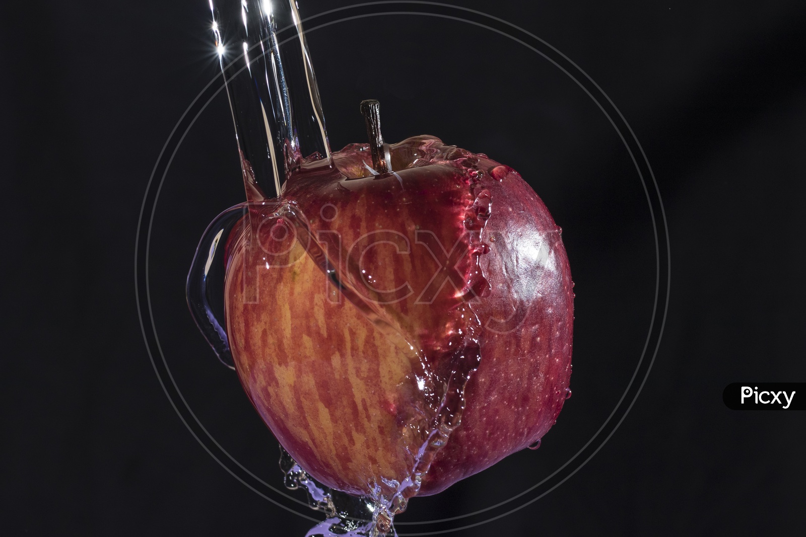 apple fruit. red apple fruit isolated.water splash on apple