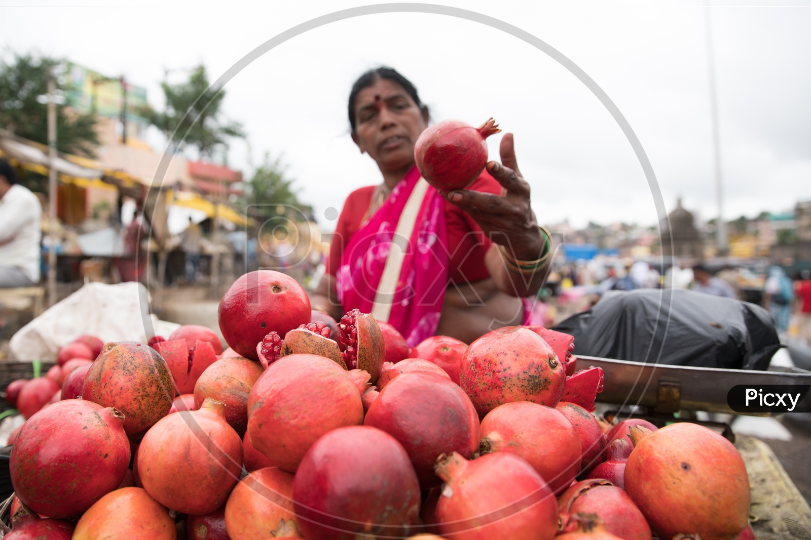 Pomegranate - Anaar Seller at Nashik, Maharashtra