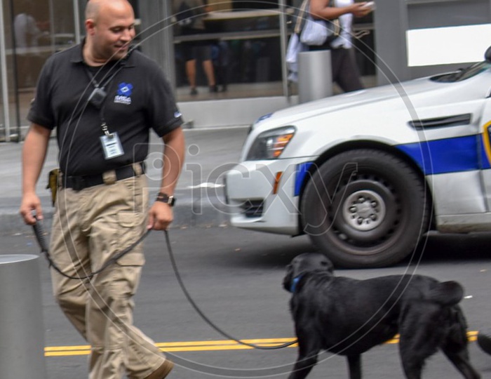 Security Guard with Intelligence Dog