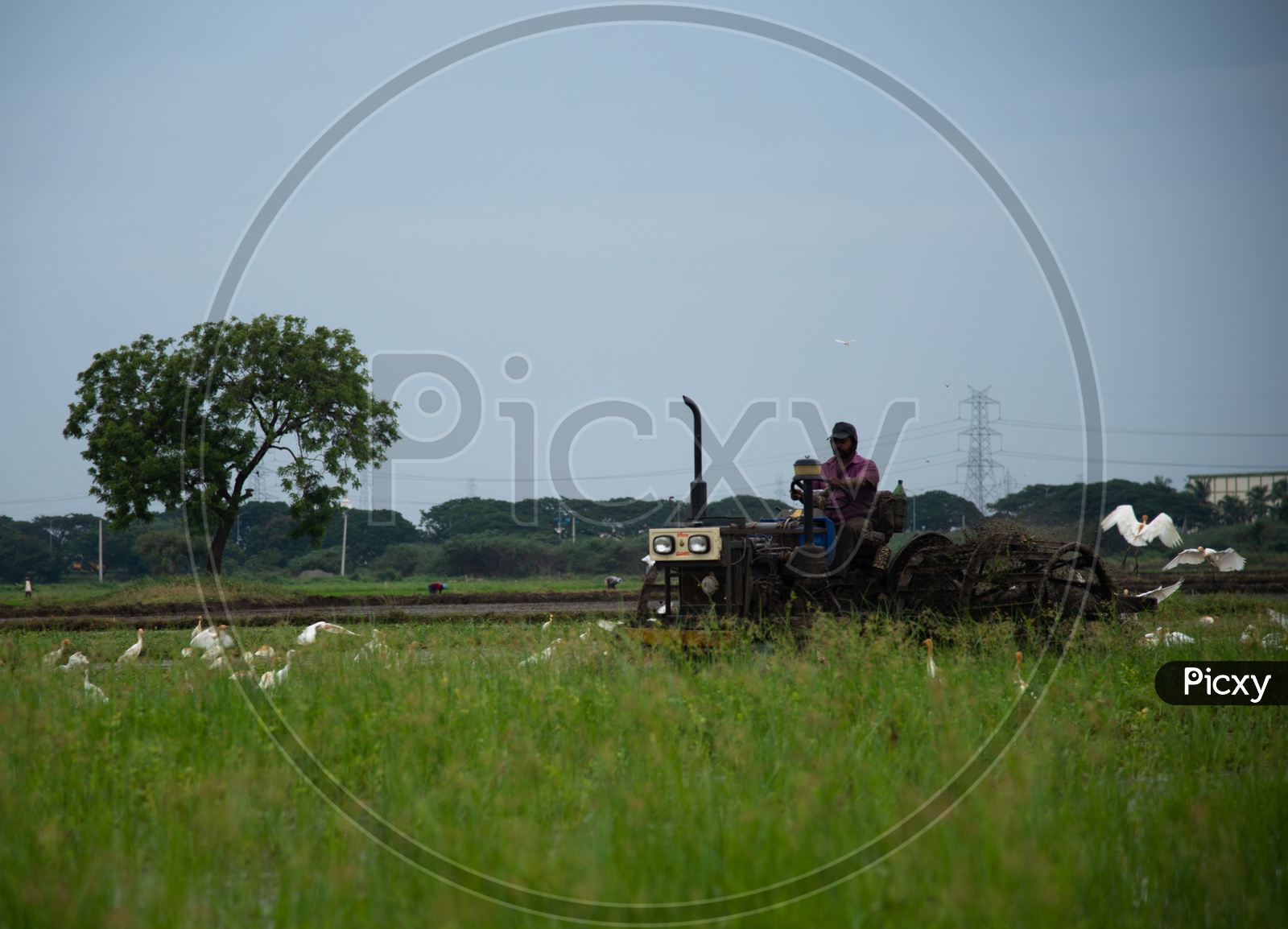 farmer ploughs with a tractor