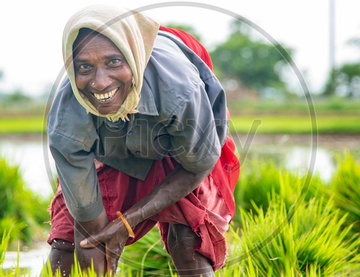a SMILING/ HAPPY woman in a Paddy Field