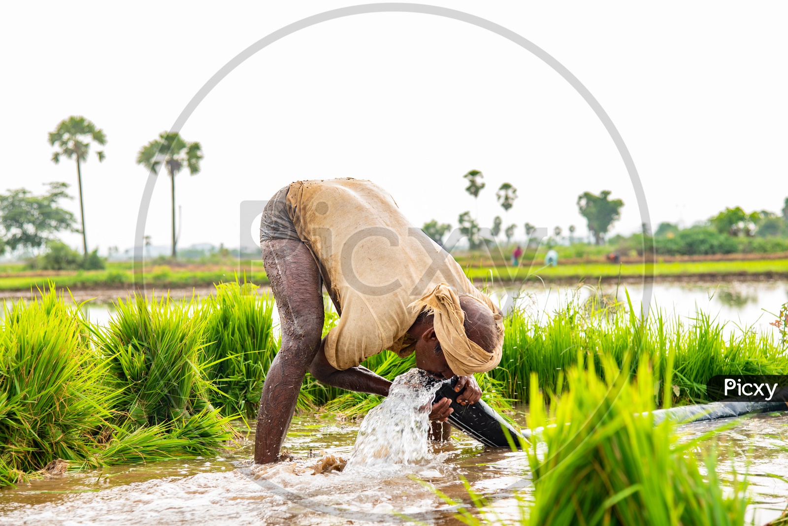 a farmer drinking water from a pumpset in his field