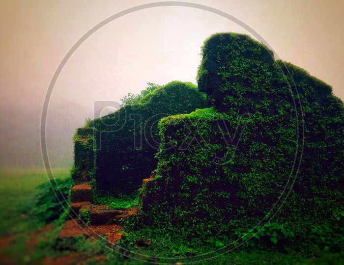 Ruins in Goa