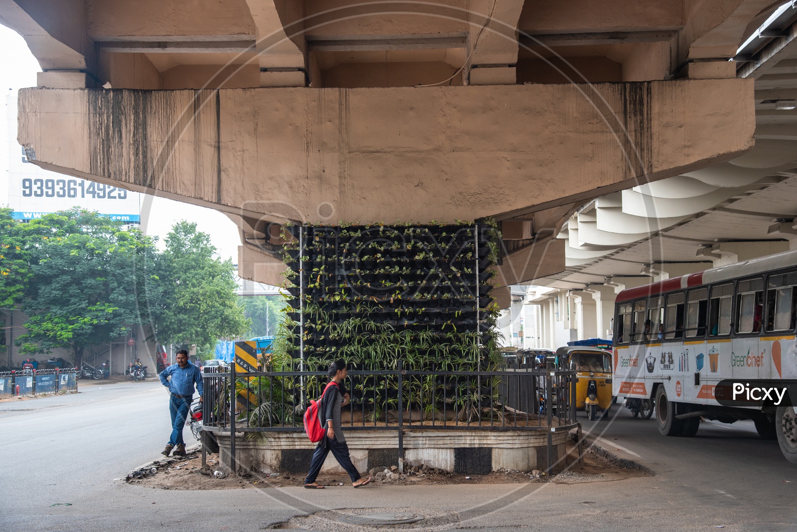 GHMC growing plants on Pillars of a Flyover at Paradise Circle, Hyderabad