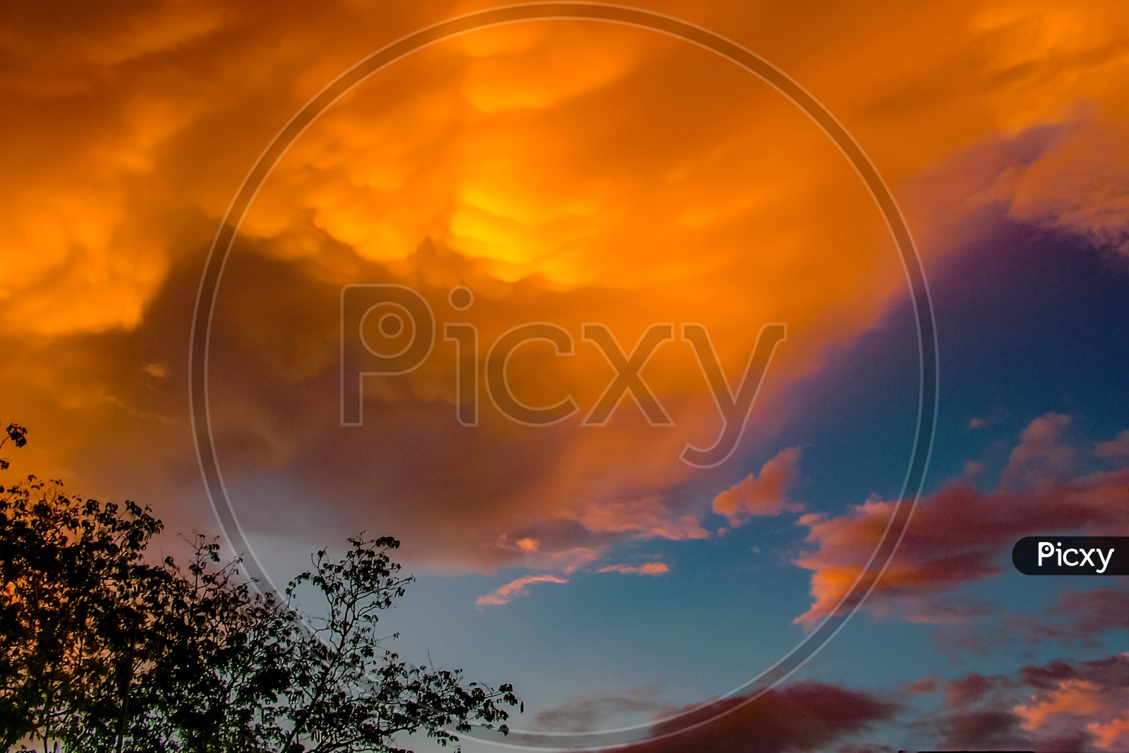 Orange clouds during sunrise or sunset